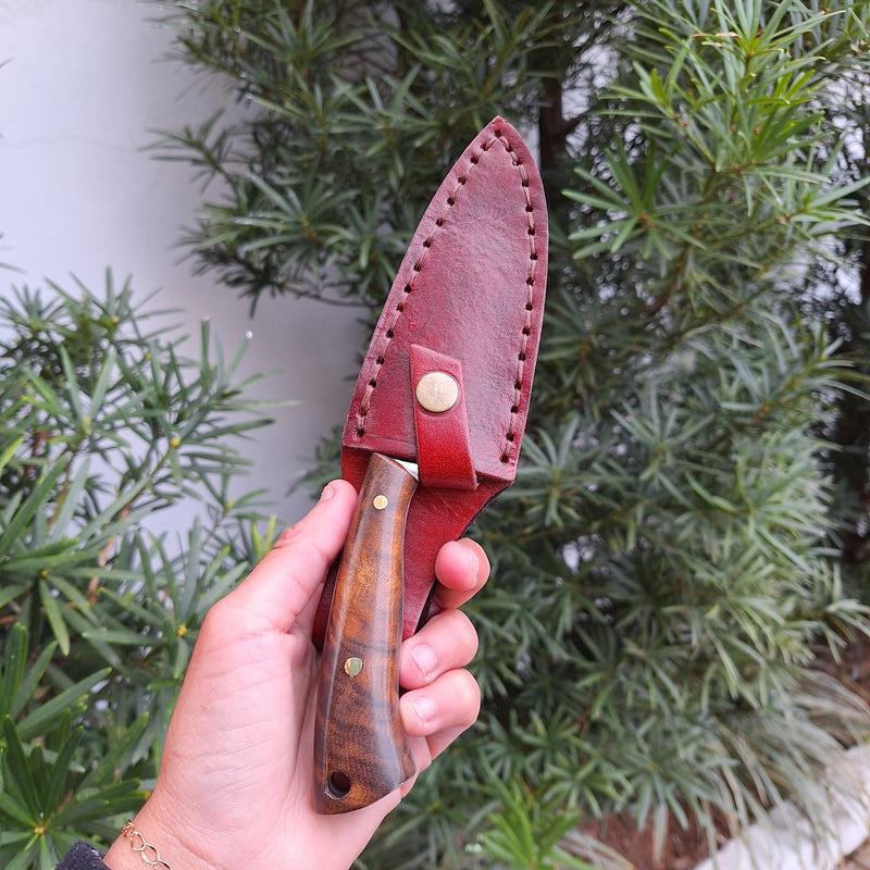 Edc